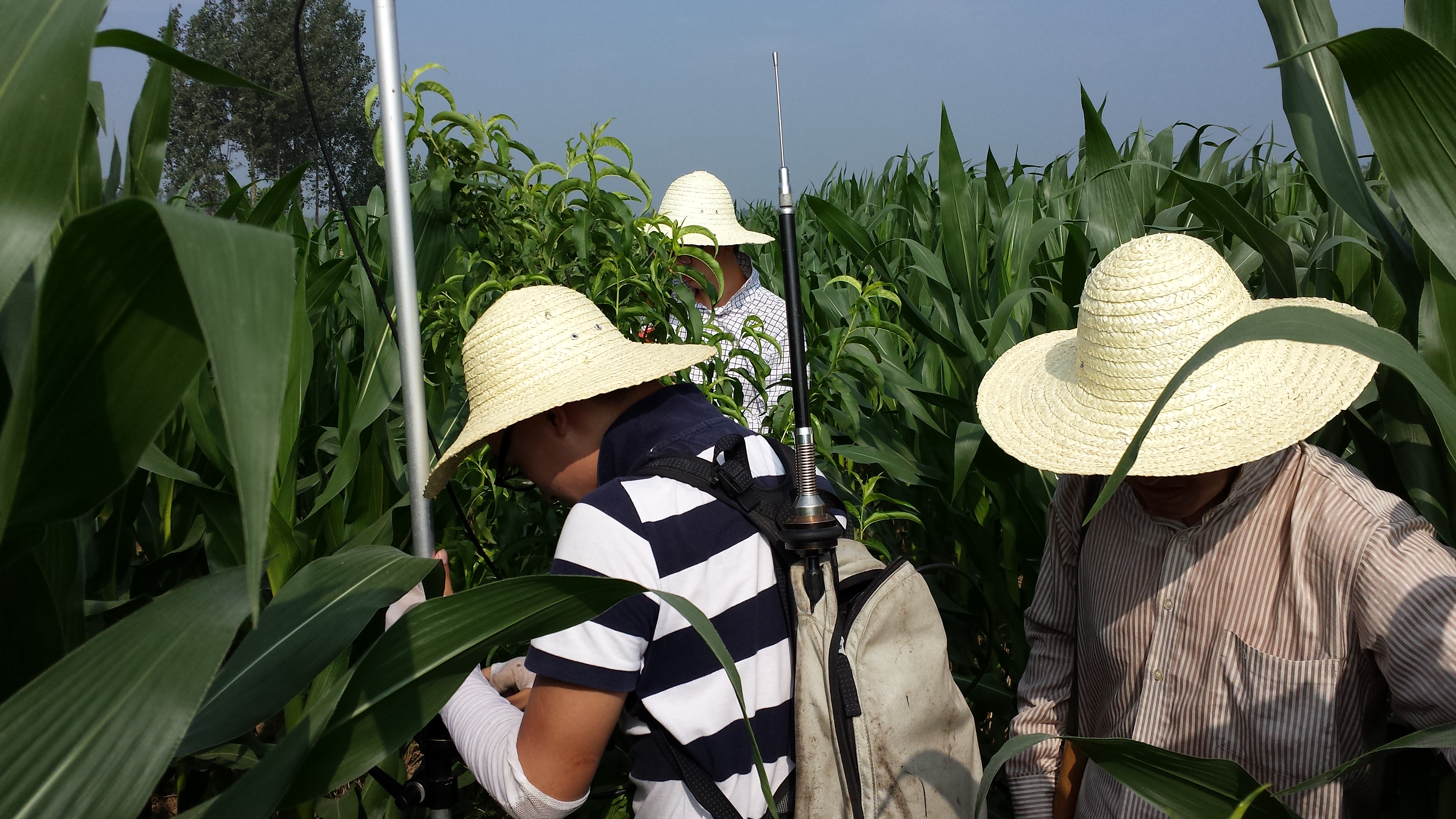 机西二期施工图外业勘测全面展开 