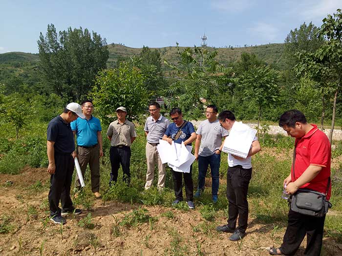 栾川至卢氏高速公路项目施工图外业验收顺利完成/ 栾川至卢氏高速公路项目施工图外业验收顺利完成