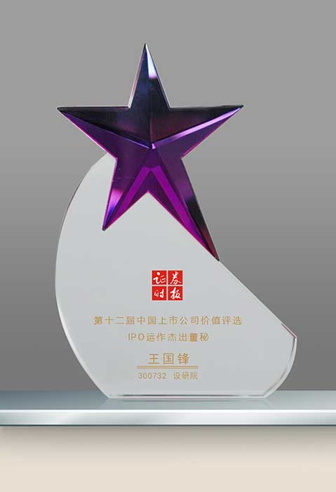 公司荣获中国上市公司ipo新星奖/ 公司荣获中国上市公司ipo新星奖